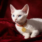 Blessing & Harmony – Eight Treasures Compass Red String Pet Collar