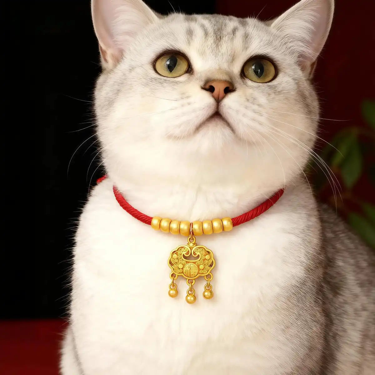 Cat wearing the red pet collar featuring a gold longevity lock charm, showing a comfortable fit and symbolic protective pendant.