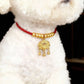 Dog wearing the red collar with a gold-tone lock charm, highlighting secure fit and traditional protective blessing style.