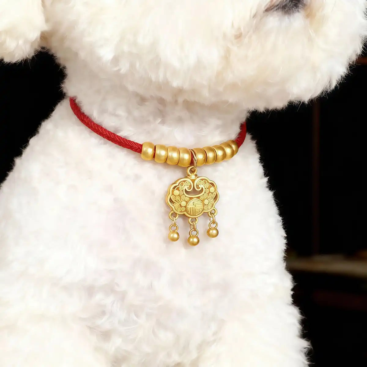 Dog wearing the red collar with a gold-tone lock charm, highlighting secure fit and traditional protective blessing style.