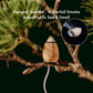 Calm & Balance – Tibetan Natural Backflow Incense Cones