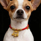 Blessing & Smooth - Auspicious Cloud Red String Pet Collar