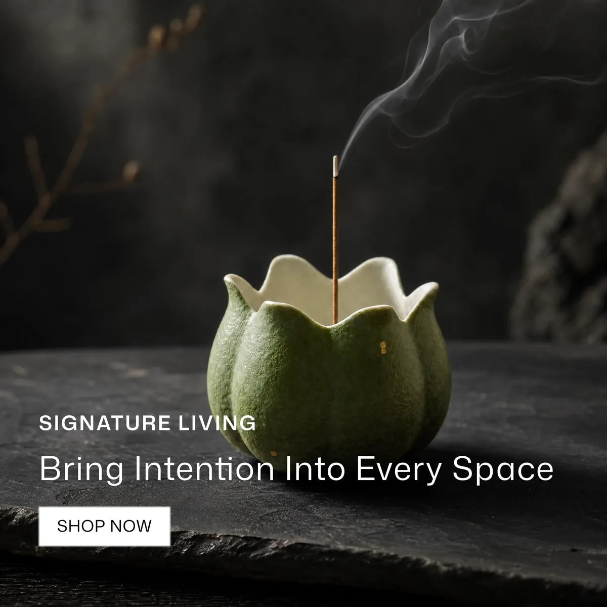 Signature Living new arrivals